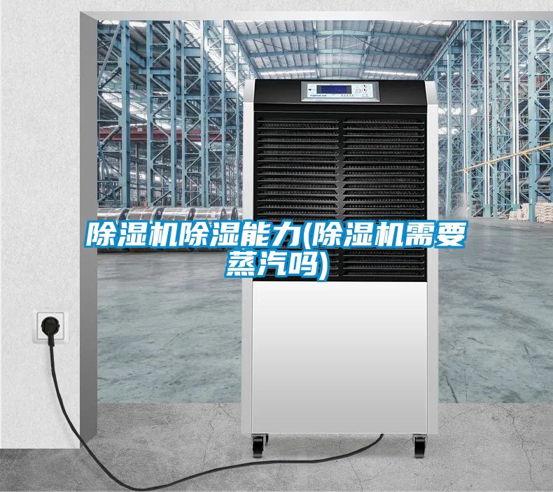 麻豆视频黄网站除湿能力(麻豆视频黄网站需要蒸汽吗)