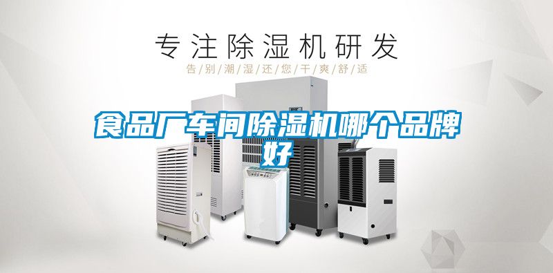 食品厂车间麻豆视频黄网站哪个品牌好
