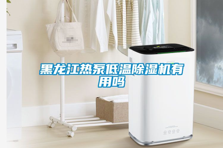 黑龙江热泵低温麻豆视频黄网站有用吗