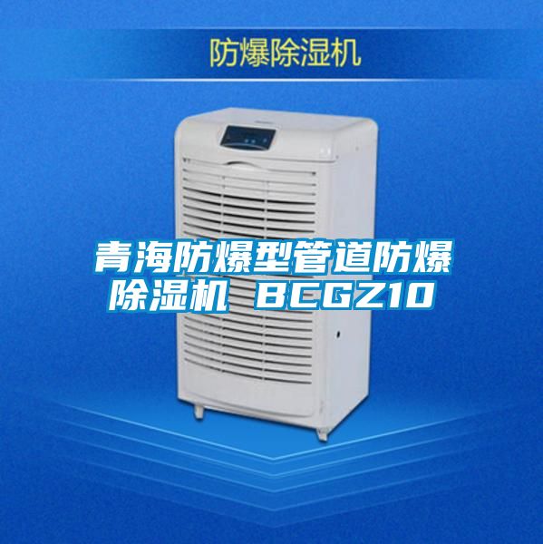 青海防爆型管道防爆麻豆视频黄网站 BCGZ10