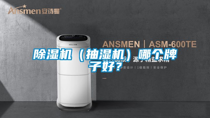 麻豆视频黄网站（抽湿机）哪个牌子好？