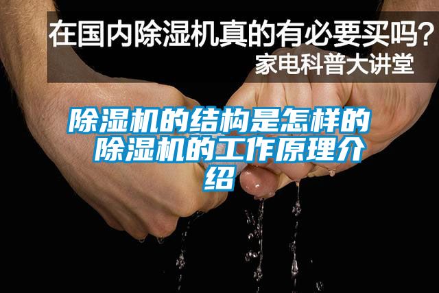 麻豆视频黄网站的结构是怎样的 麻豆视频黄网站的工作原理介绍