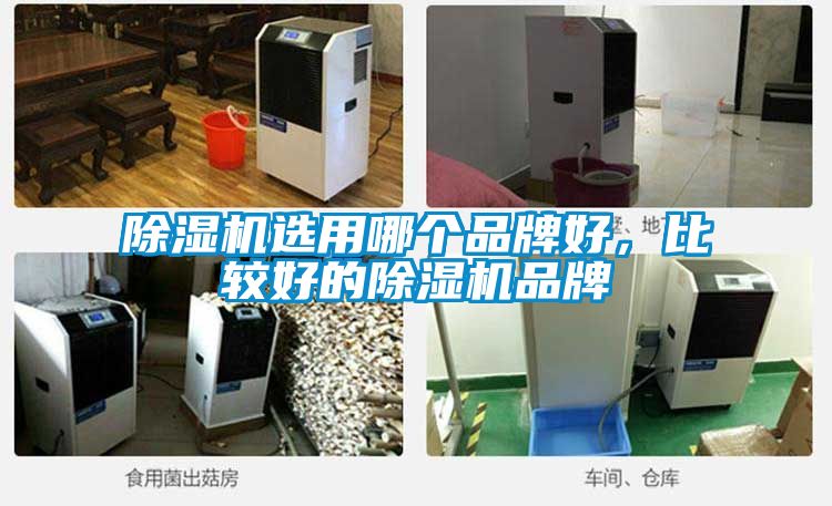 麻豆视频黄网站选用哪个品牌好，比较好的麻豆视频黄网站品牌