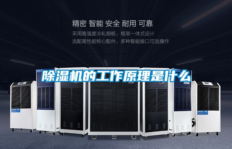 麻豆视频黄网站的工作原理是什么