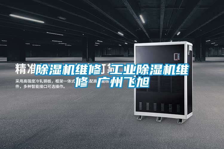 麻豆视频黄网站维修 工业麻豆视频黄网站维修 广州飞旭
