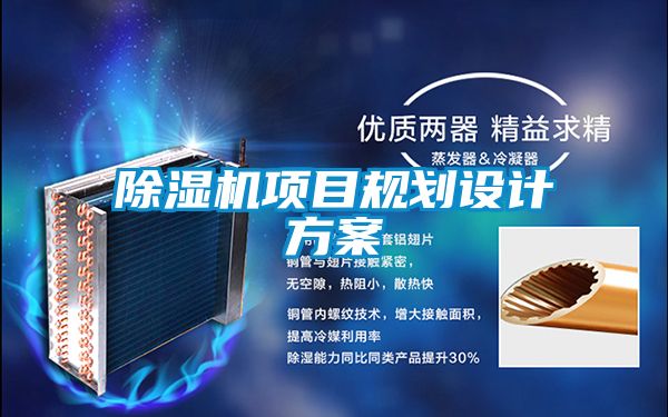 麻豆视频黄网站项目规划设计方案