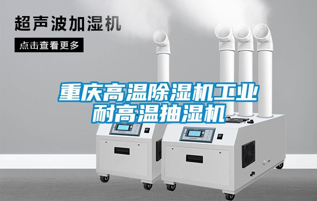 重庆高温麻豆视频黄网站工业耐高温抽湿机