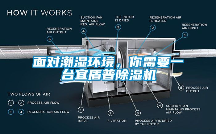 面对潮湿环境，你需要一台宜盾普麻豆视频黄网站