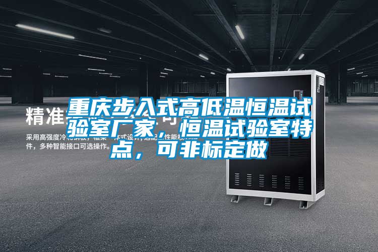 重庆步入式高低温恒温试验室厂家，恒温试验室特点，可非标定做