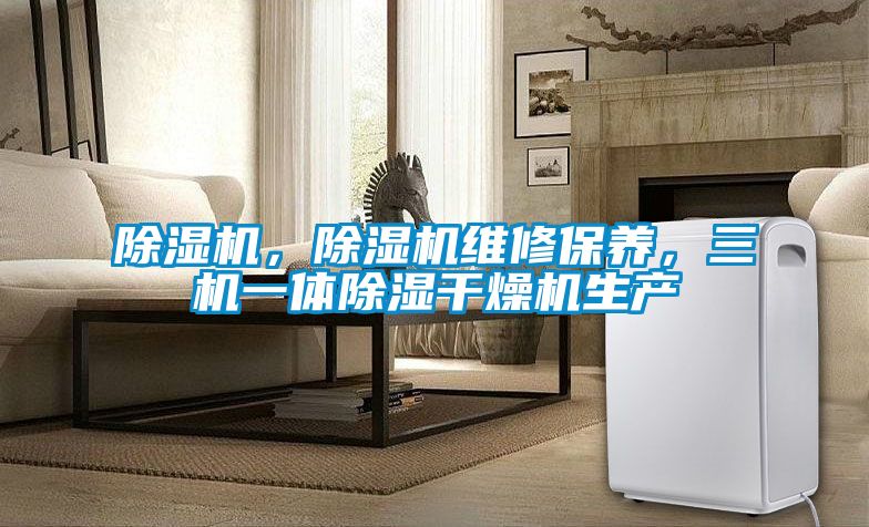 麻豆视频黄网站，麻豆视频黄网站维修保养，三机一体除湿干燥机生产