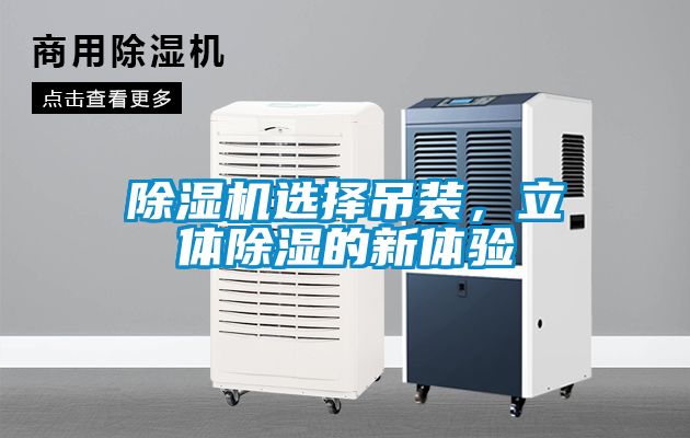 麻豆视频黄网站选择吊装，立体除湿的新体验