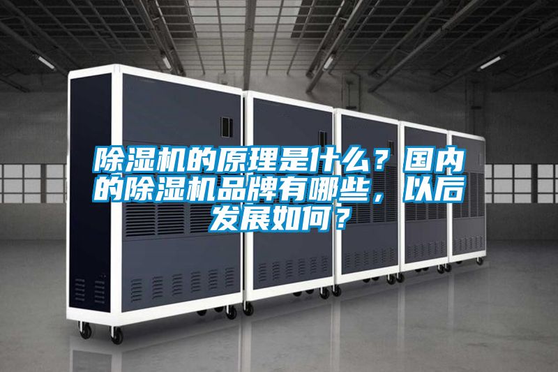 麻豆视频黄网站的原理是什么？国内的麻豆视频黄网站品牌有哪些，以后发展如何？