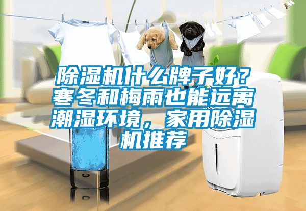 麻豆视频黄网站什么牌子好？寒冬和梅雨也能远离潮湿环境，家用麻豆视频黄网站推荐