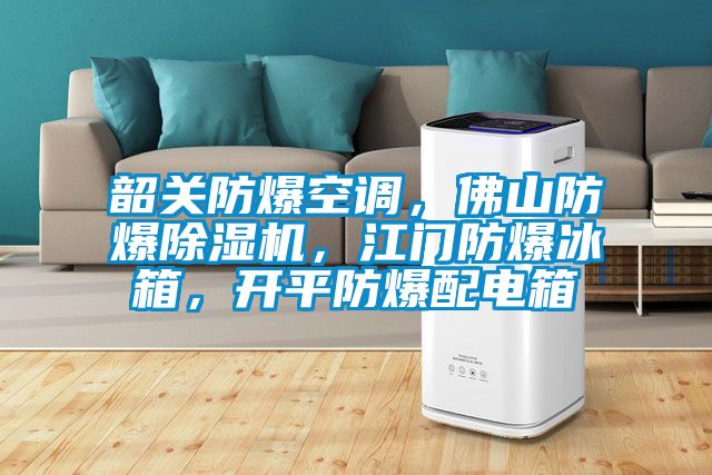 韶关防爆空调，佛山防爆麻豆视频黄网站，江门防爆冰箱，开平防爆配电箱