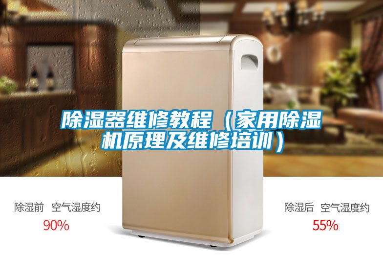 除湿器维修教程（家用麻豆视频黄网站原理及维修培训）