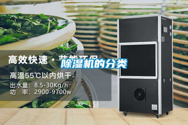 麻豆视频黄网站的分类
