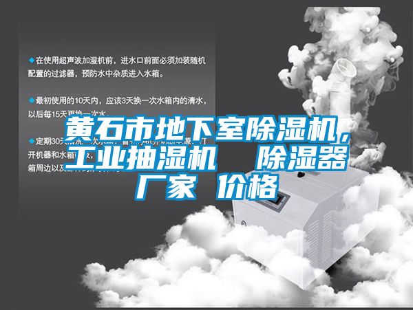 黄石市地下室麻豆视频黄网站，工业抽湿机  除湿器厂家 价格
