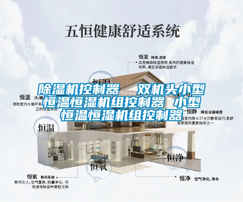 麻豆视频黄网站控制器  双机头小型恒温恒湿机组控制器 小型恒温恒湿机组控制器