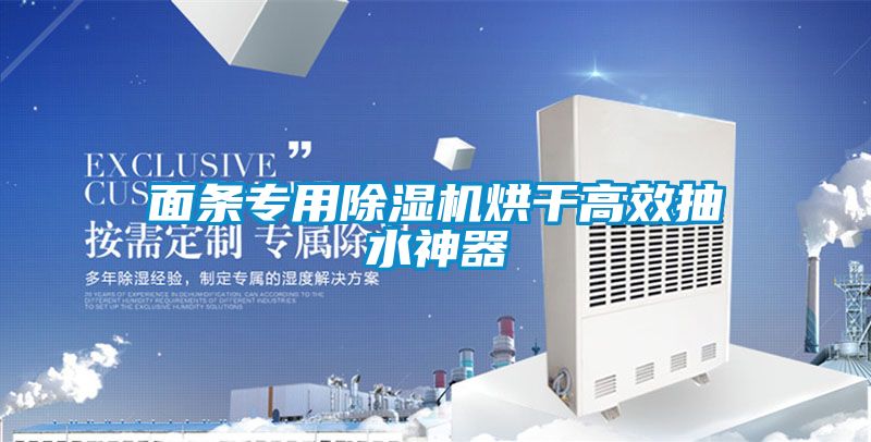 面条专用麻豆视频黄网站烘干高效抽水神器
