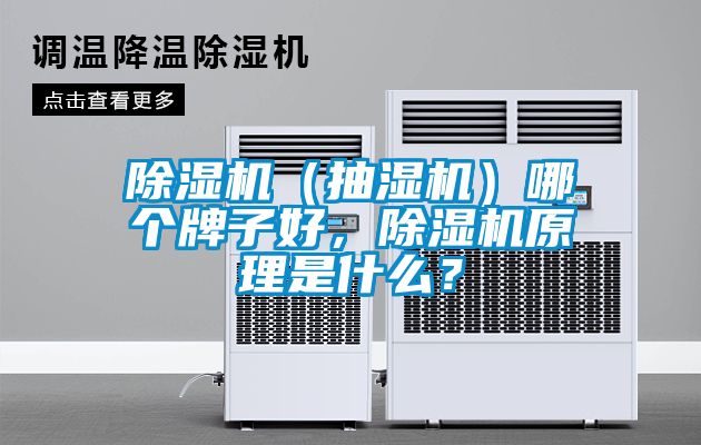 麻豆视频黄网站（抽湿机）哪个牌子好，麻豆视频黄网站原理是什么？