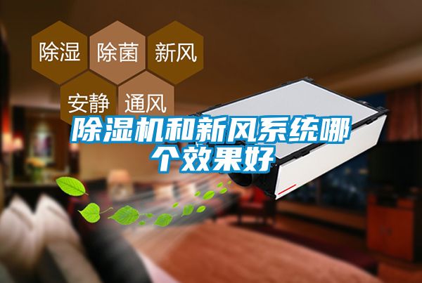 麻豆视频黄网站和新风系统哪个效果好