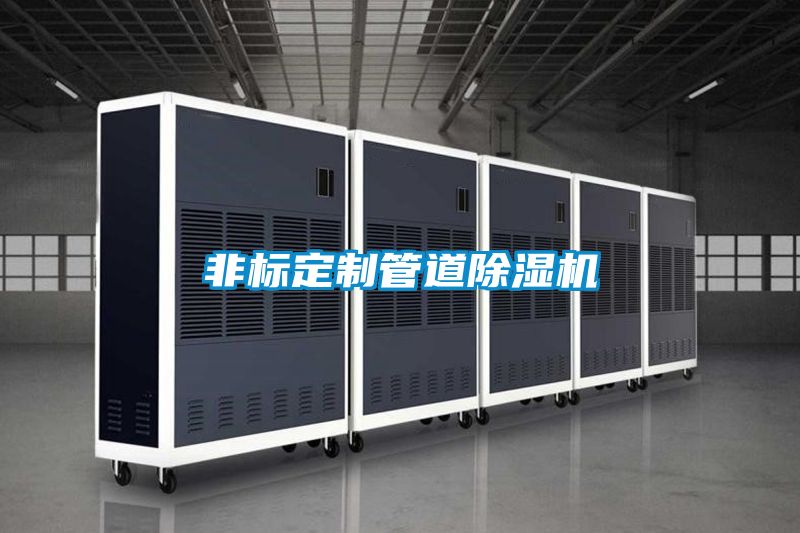 非标定制管道麻豆视频黄网站