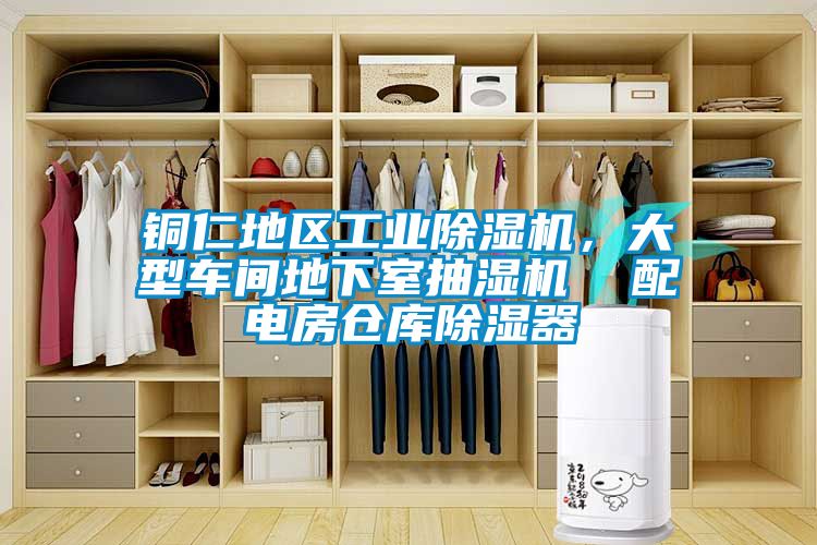 铜仁地区工业麻豆视频黄网站，大型车间地下室抽湿机  配电房仓库除湿器