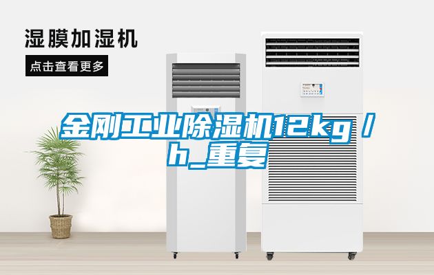金刚工业麻豆视频黄网站12kg／h_重复
