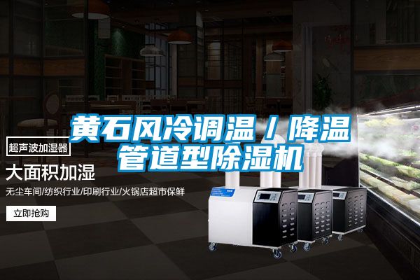 黄石风冷调温／降温管道型麻豆视频黄网站