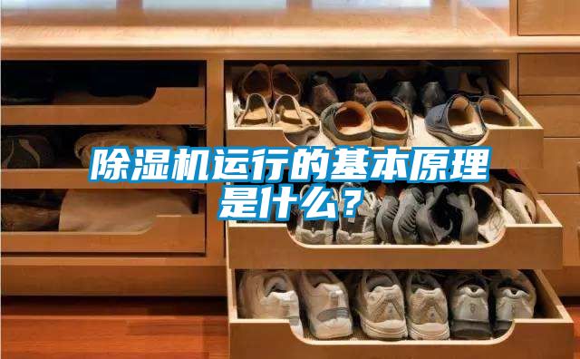 麻豆视频黄网站运行的基本原理是什么？
