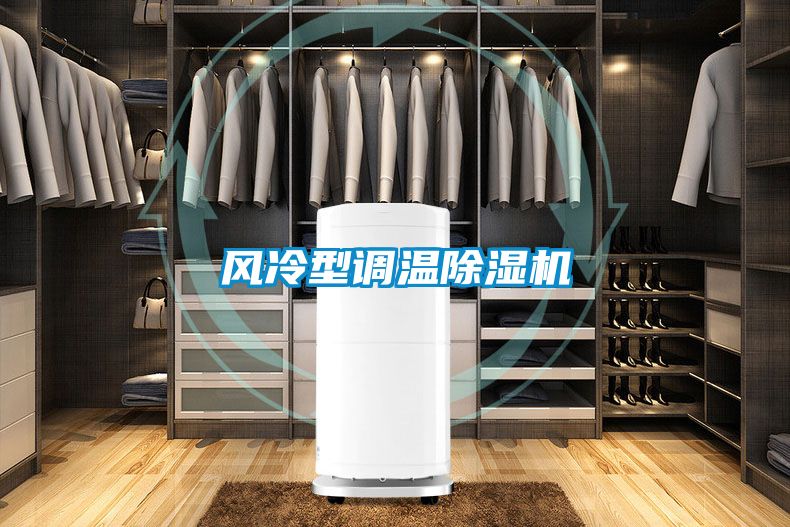 风冷型调温麻豆视频黄网站