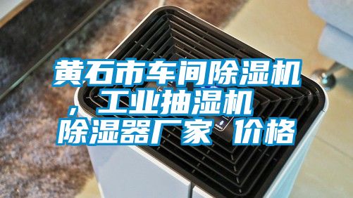黄石市车间麻豆视频黄网站，工业抽湿机  除湿器厂家 价格