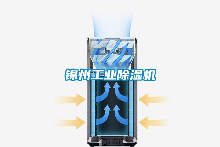 锦州工业麻豆视频黄网站