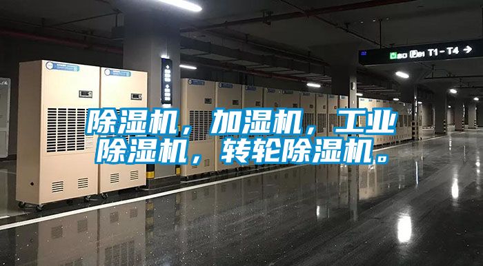 麻豆视频黄网站，加湿机，工业麻豆视频黄网站，转轮麻豆视频黄网站。