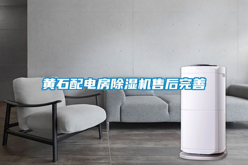 黄石配电房麻豆视频黄网站售后完善