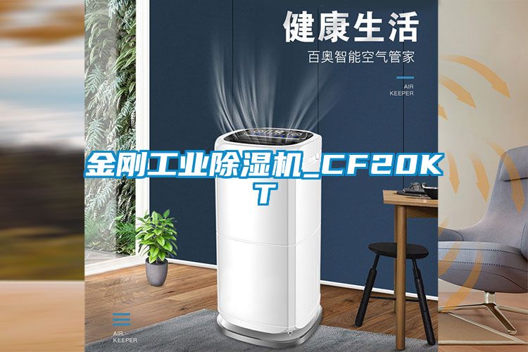 金刚工业麻豆视频黄网站_CF20KT