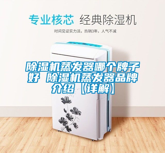 麻豆视频黄网站蒸发器哪个牌子好 麻豆视频黄网站蒸发器品牌介绍【详解】