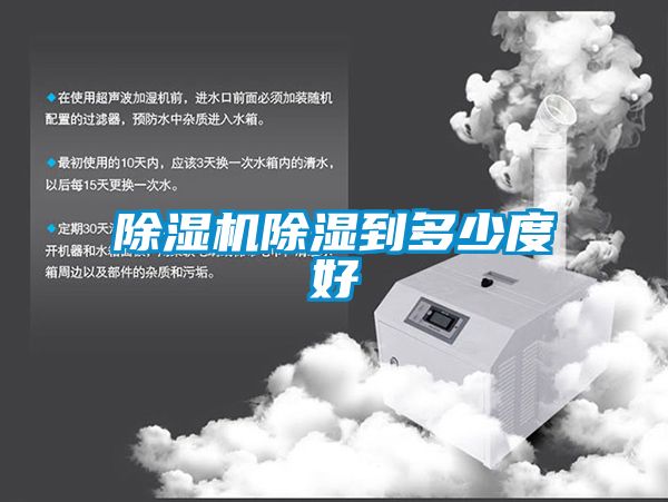 麻豆视频黄网站除湿到多少度好