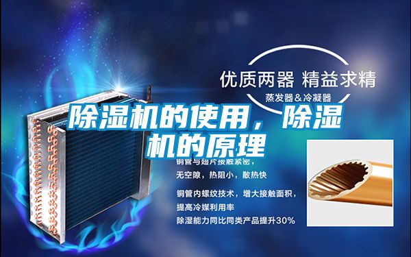 麻豆视频黄网站的使用，麻豆视频黄网站的原理