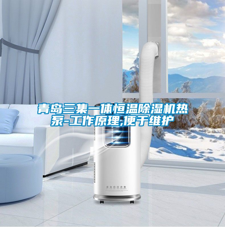 青岛三集一体恒温麻豆视频黄网站热泵-工作原理,便于维护