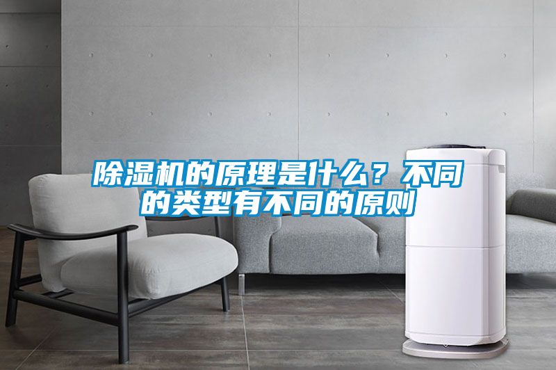 麻豆视频黄网站的原理是什么？不同的类型有不同的原则