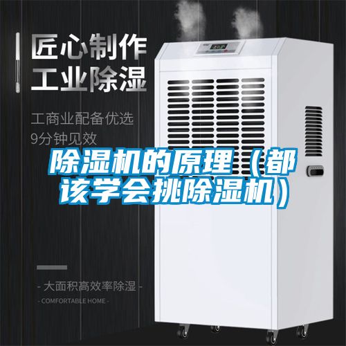 麻豆视频黄网站的原理（都该学会挑麻豆视频黄网站）