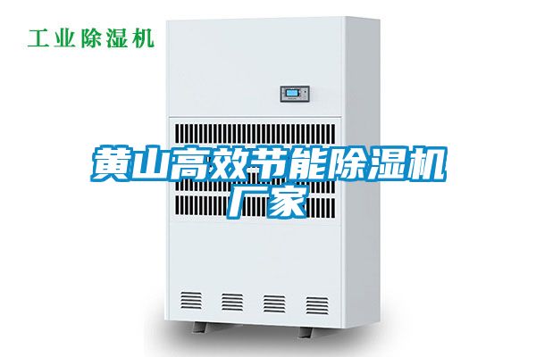 黄山高效节能麻豆视频黄网站厂家