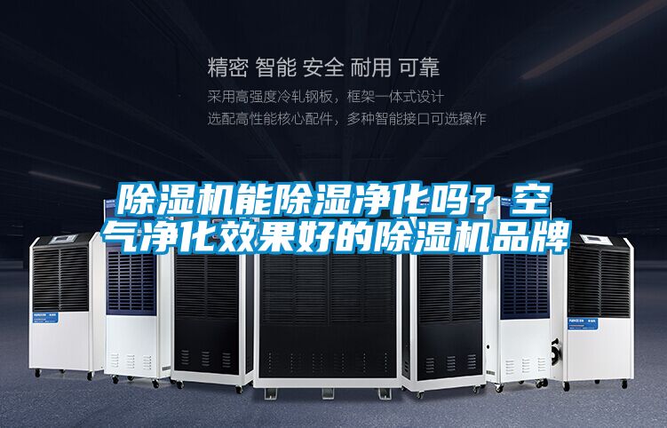 麻豆视频黄网站能除湿净化吗？空气净化效果好的麻豆视频黄网站品牌