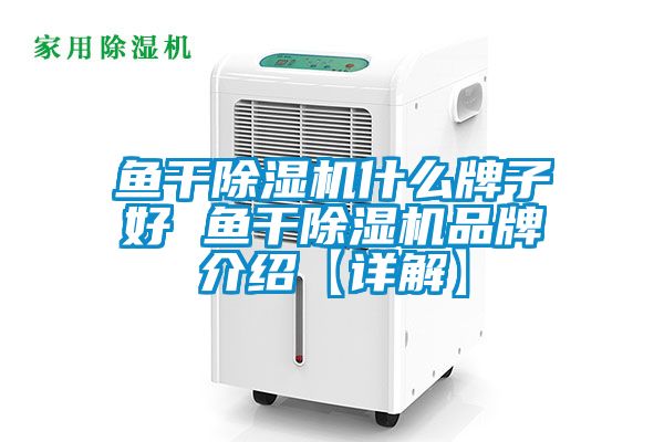 鱼干麻豆视频黄网站什么牌子好 鱼干麻豆视频黄网站品牌介绍【详解】