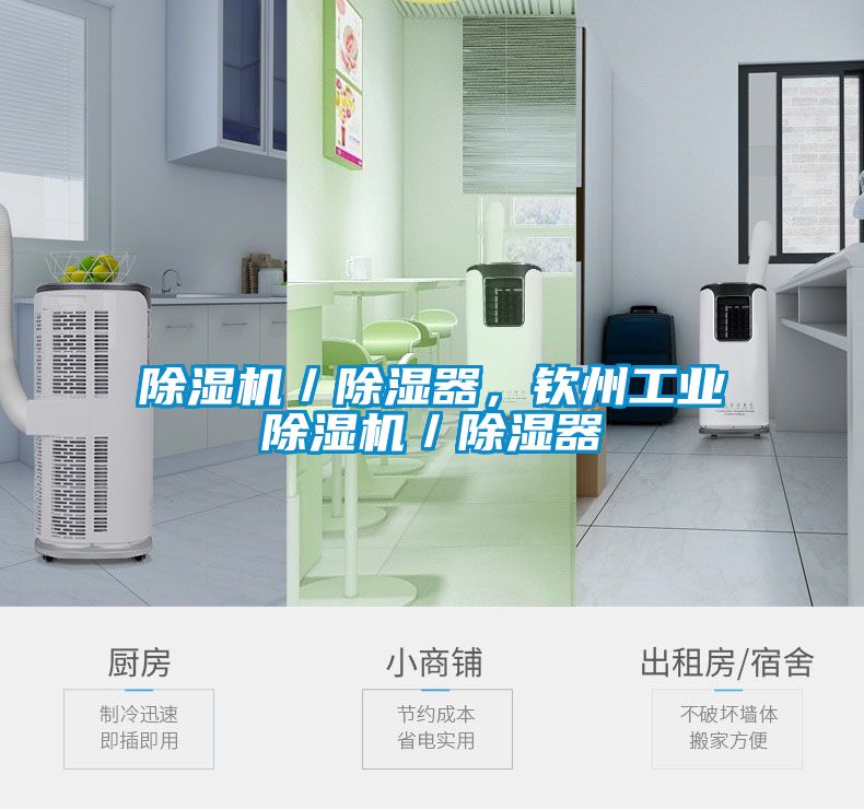 麻豆视频黄网站／除湿器，钦州工业麻豆视频黄网站／除湿器