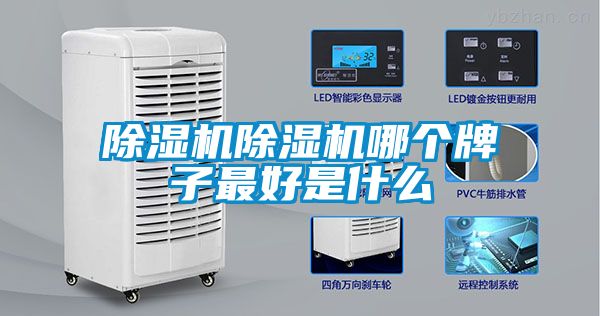 麻豆视频黄网站麻豆视频黄网站哪个牌子最好是什么