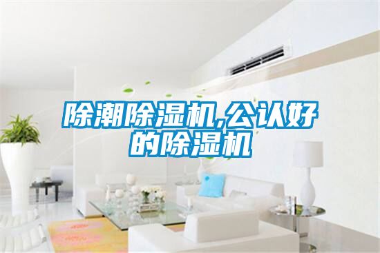 除潮麻豆视频黄网站,公认好的麻豆视频黄网站