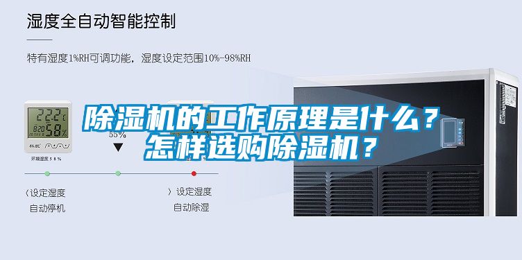 麻豆视频黄网站的工作原理是什么？怎样选购麻豆视频黄网站？