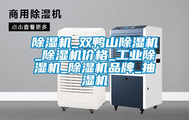 麻豆视频黄网站_双鸭山麻豆视频黄网站_麻豆视频黄网站价格_工业麻豆视频黄网站_麻豆视频黄网站品牌_抽湿机